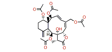 Fragilolide L